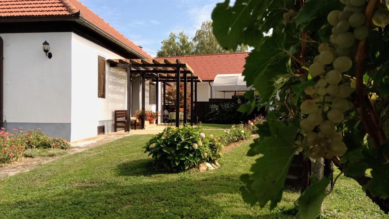 Pocitniska Hisa Kog Villa Eksteriør billede